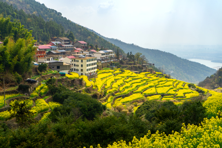 邹燕玲 金山银山我的家园83.jpg